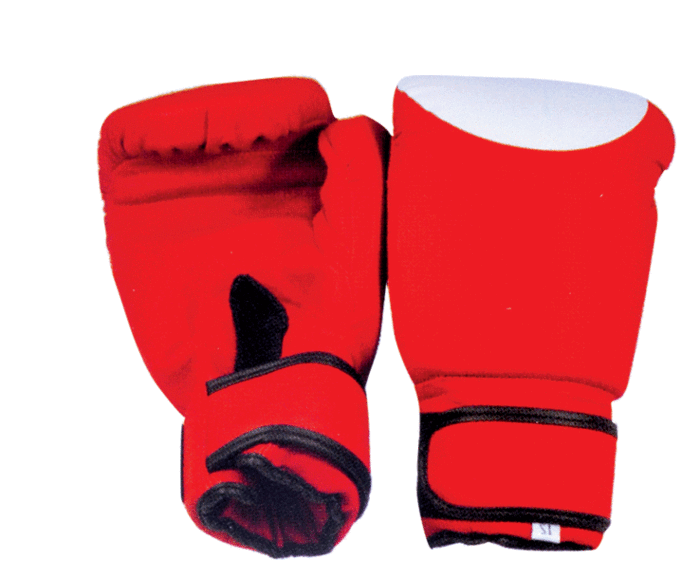 Kangrui domineering fight boxing gloves Sanda gloves the punching bag bag adult Taekwondo hand