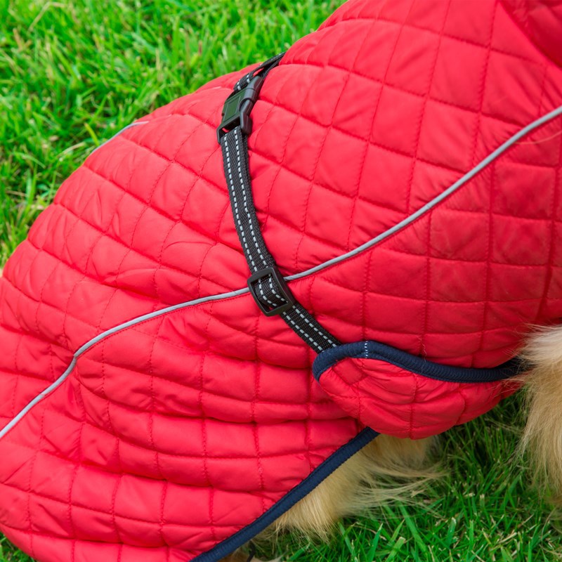 V · Pet · B · R Autumn and Winter Large Dog Dog Cotton-Padded Clothes Cross-Border Pet Outdoor Shell Jacket Reflective Warm Clothes