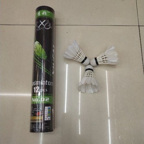Manufacturers direct hot style 12 installed badminton