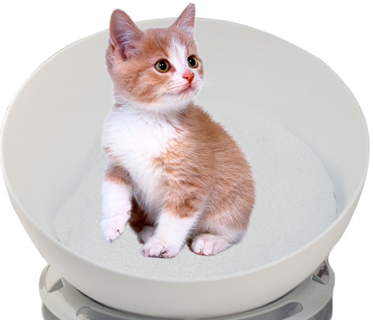 Four seasons walks cat mat track ball hemispherical cat walks winter warm teddy dog walks cat sleeping bag