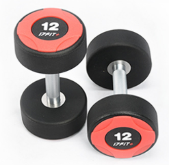 Fitness Dumb Bell 17fitpu Fixed Dumbbell