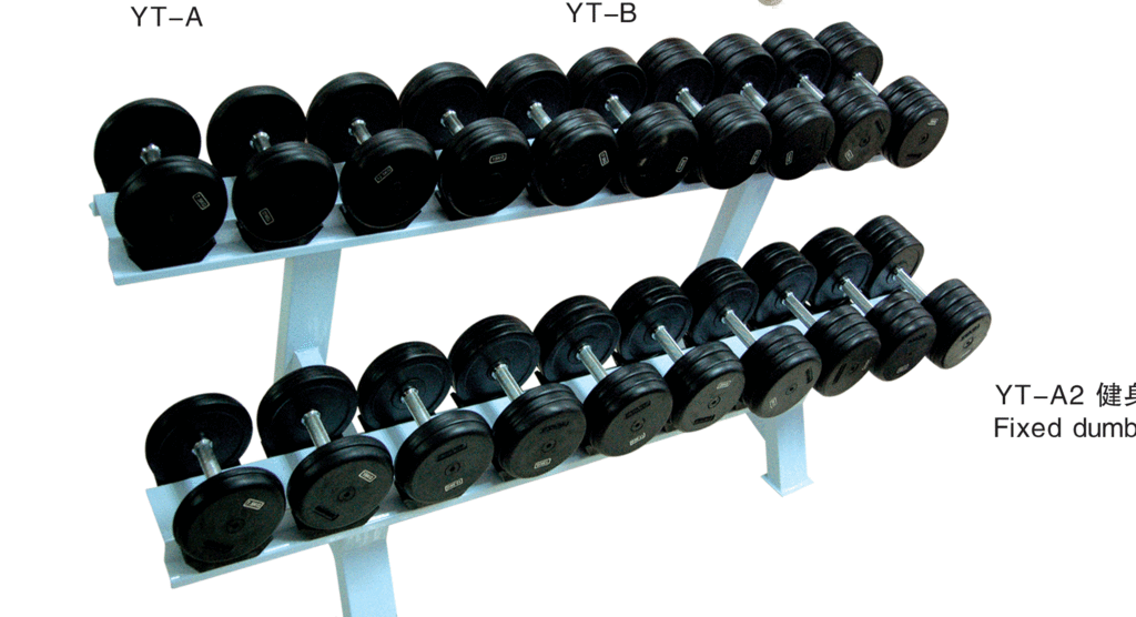 Two tier dumbbell bench