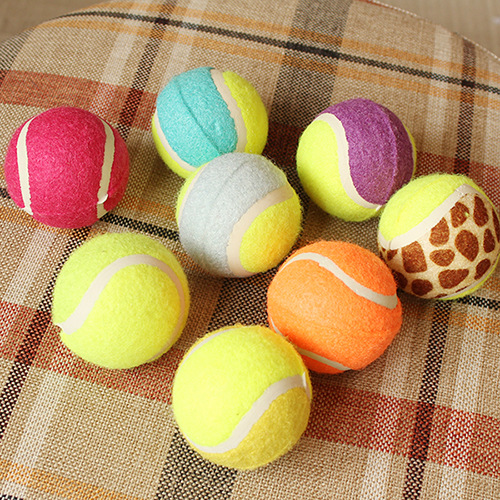 Pet tennis ball color four clothes without jumping golden teddy dog training grinding teeth to chew toys.