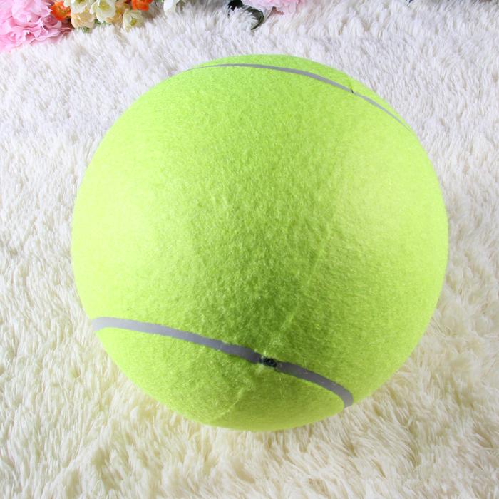 Authentic train pet wool, durable elastic pressure foot the cost price of tennis tennis shop