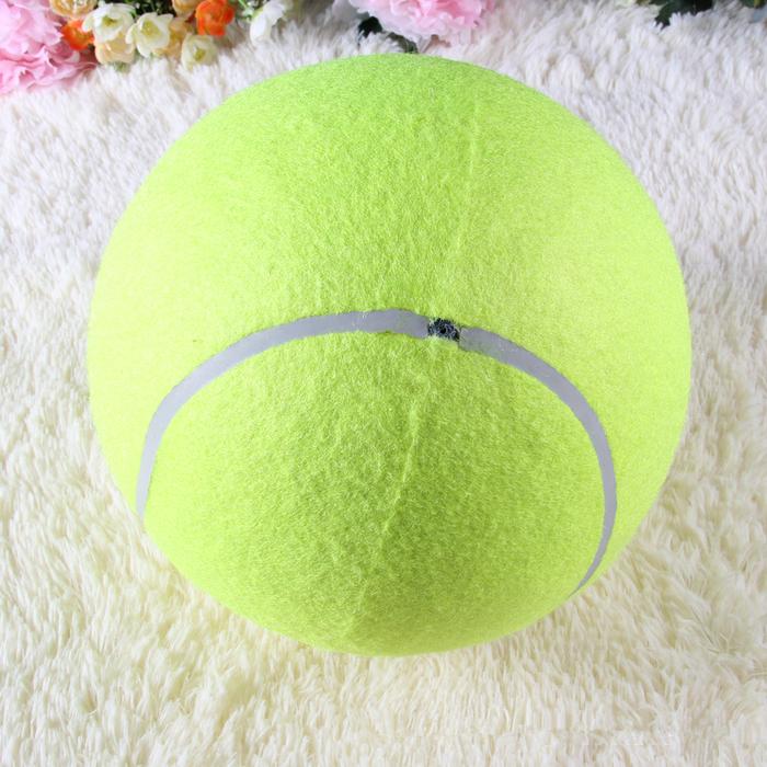 Authentic train pet wool, durable elastic pressure foot the cost price of tennis tennis shop
