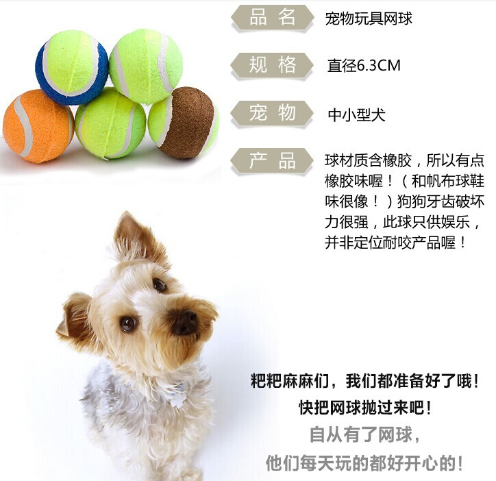 A pet tennis ball with three colors, a golden retriever, a teddy bear, and an outdoor toy.