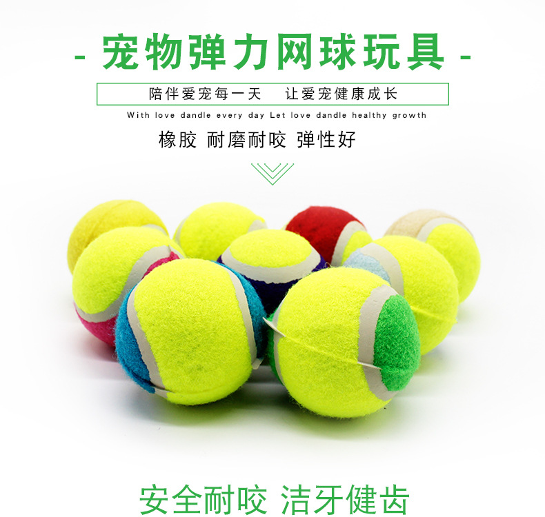A pet tennis ball with three colors, a golden retriever, a teddy bear, and an outdoor toy.