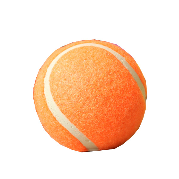 A pet tennis ball with three colors, a golden retriever, a teddy bear, and an outdoor toy.