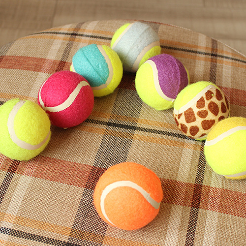 A pet tennis ball with three colors, a golden retriever, a teddy bear, and an outdoor toy.