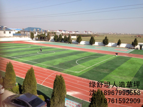 Environmental simulation of artificial lawn football pitch artificial turf manufacturers plastic lawn