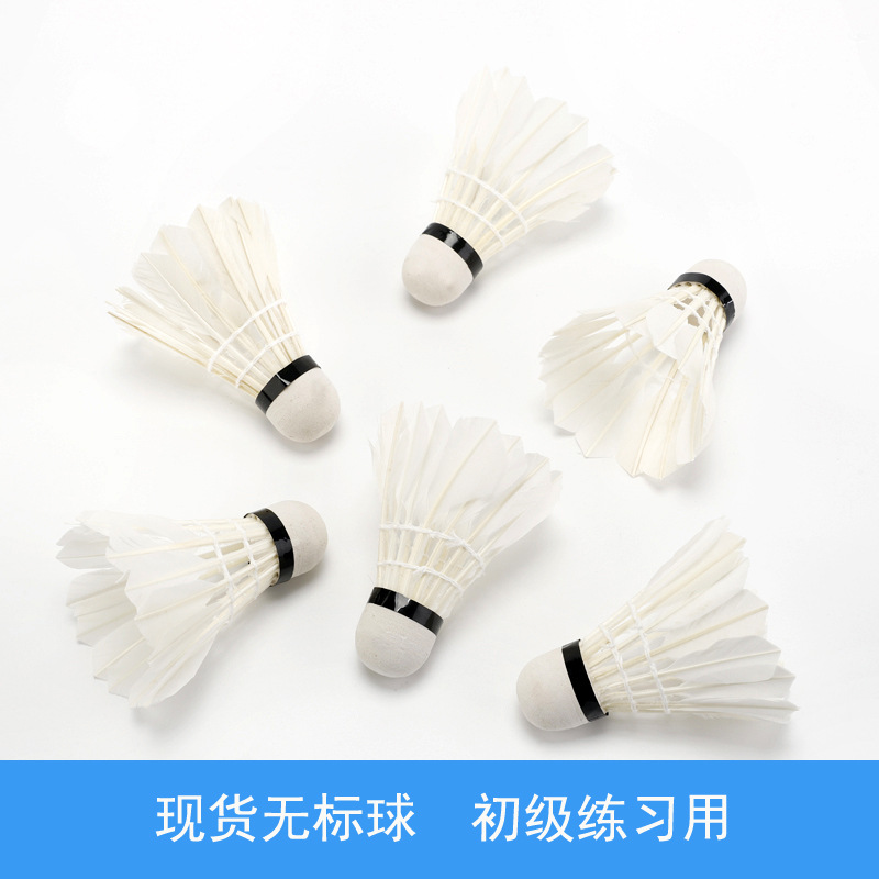 Spot Non-Standard Badminton Primary Practice Foam Ball Head Badminton Barrel Wholesale Can Be One Piece Dropshipping Spot Non-Standard Badminton Primary Practice Foam Ball Head Badminton Barrel Wholesale Can Be One Piece Dropshipping