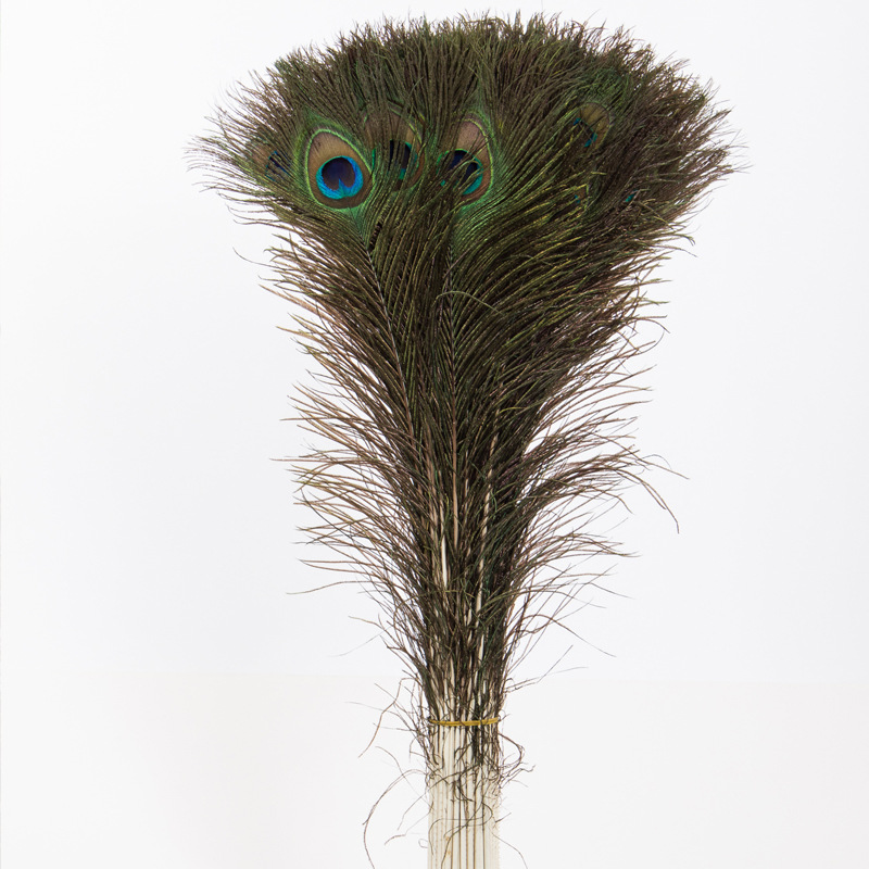 Manufacturers spot supply quality 80-90 cm natural peacock feather wedding flower arrangement peacock feather decorative feathers