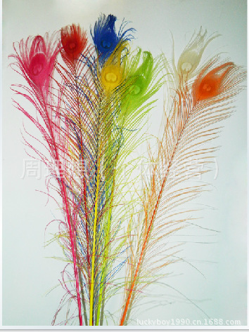 Manufacturers spot supply quality 80-90 cm natural peacock feather wedding flower arrangement peacock feather decorative feathers