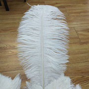 Factory in Stock 25-30cm Colorful Ostrich Feather Wedding Flower Arrangement Decoration DIY Ornament Accessories Variety Feather