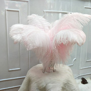 Factory in Stock 25-30cm Colorful Ostrich Feather Wedding Flower Arrangement Decoration DIY Ornament Accessories Variety Feather