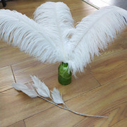 Factory in Stock 25-30cm Colorful Ostrich Feather Wedding Flower Arrangement Decoration DIY Ornament Accessories Variety Feather