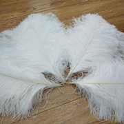 Factory in Stock 25-30cm Colorful Ostrich Feather Wedding Flower Arrangement Decoration DIY Ornament Accessories Variety Feather