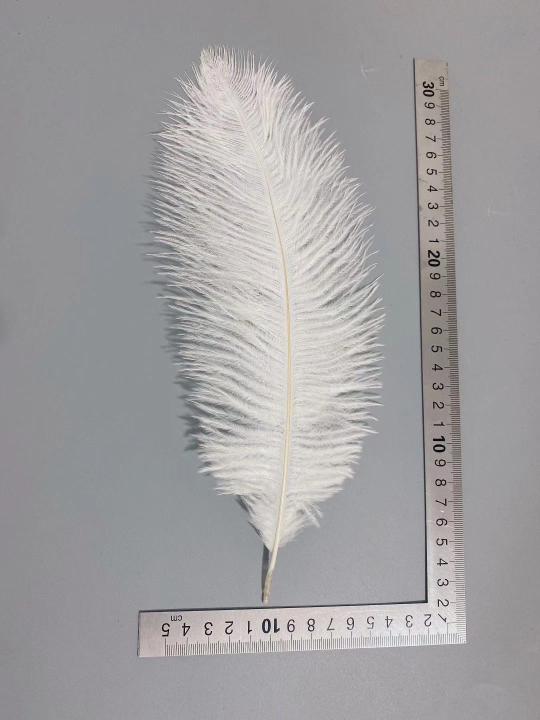 Factory in Stock 25-30cm Colorful Ostrich Feather Wedding Flower Arrangement Decoration DIY Ornament Accessories Variety Feather