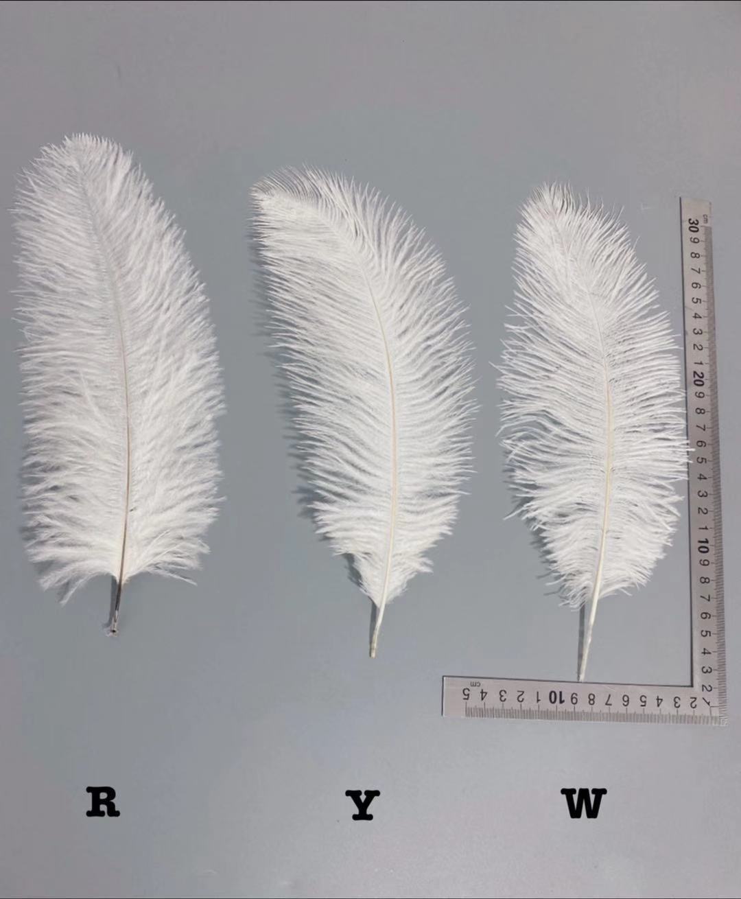 Factory in Stock 25-30cm Colorful Ostrich Feather Wedding Flower Arrangement Decoration DIY Ornament Accessories Variety Feather