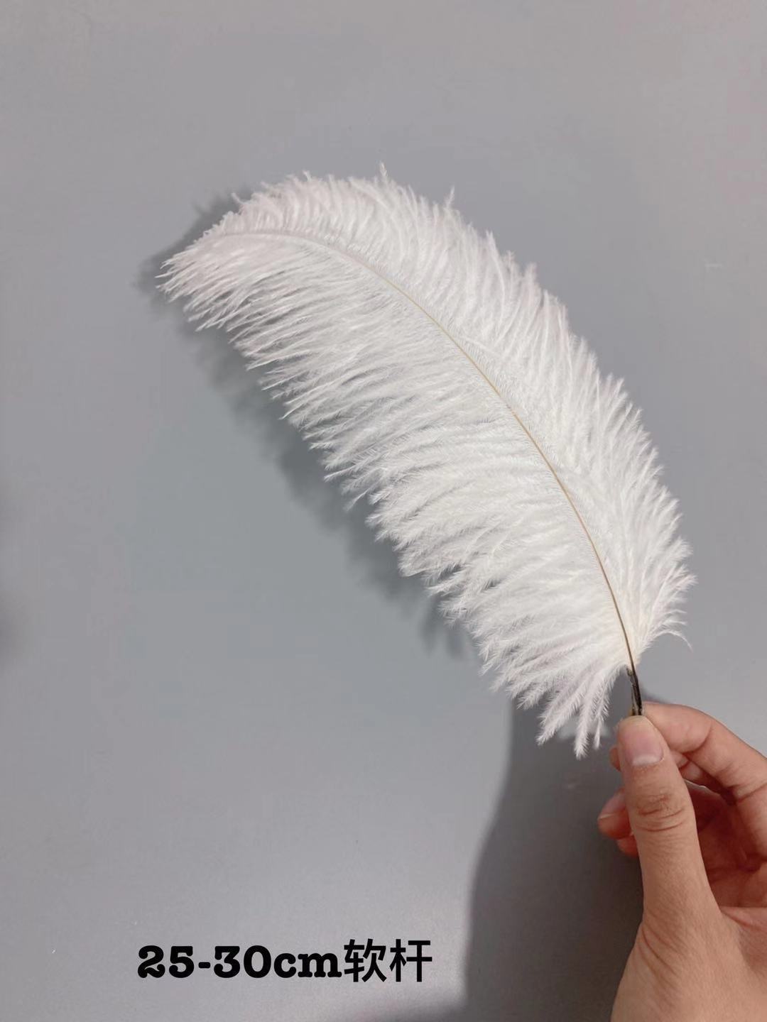 Factory in Stock 25-30cm Colorful Ostrich Feather Wedding Flower Arrangement Decoration DIY Ornament Accessories Variety Feather