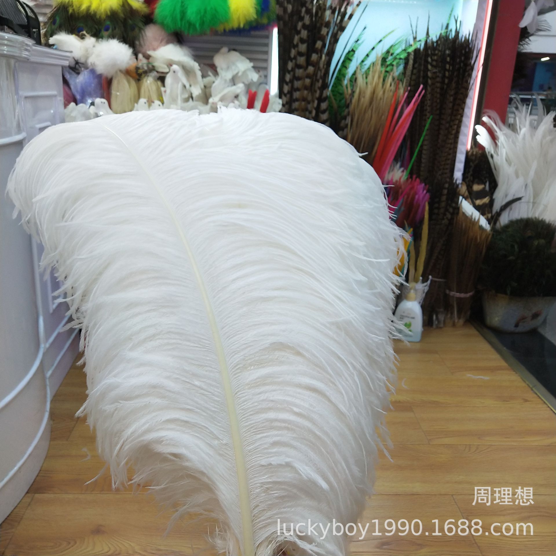 Factory in Stock Supply High Quality 45-50cm White Ostrich Feather Wedding Flower Arrangement Feather Clothing Decorative Accessories