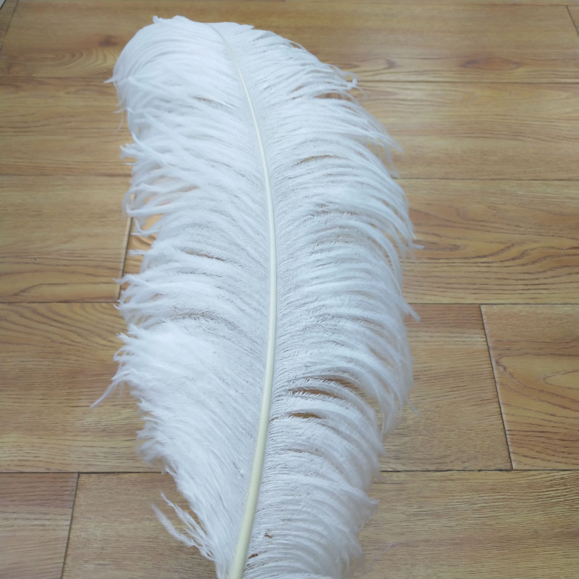 Factory in Stock Supply High Quality 45-50cm White Ostrich Feather Wedding Flower Arrangement Feather Clothing Decorative Accessories