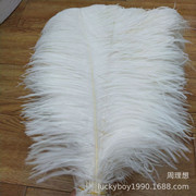 Factory in Stock 45-50cm White Ostrich Feather Wedding Flower Arrangement Feather Table Lamp Changeable Color Ostrich Feather