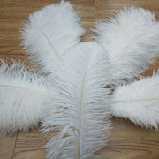 Factory in Stock 45-50cm White Ostrich Feather Wedding Flower Arrangement Feather Table Lamp Changeable Color Ostrich Feather