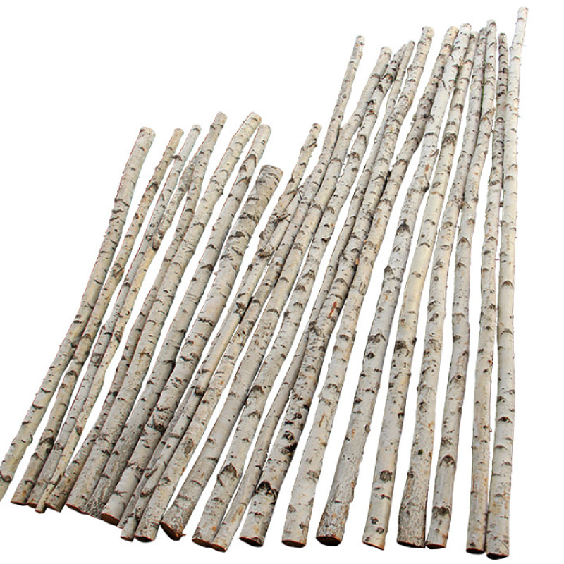 Natural Silver Birch Dried Decorative Log Birch Pole Hallway Subareas Screens Wedding Flower Stand Shape Dried Branches Art Gallery