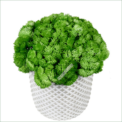 Tree Cat Artificial Flower Feel Aglaia Fruit 38cm Cauliflower Soft Glue Hydrangea Fruit Decoration Fake Succulent Wedding Flower Arrangement and Floriculture