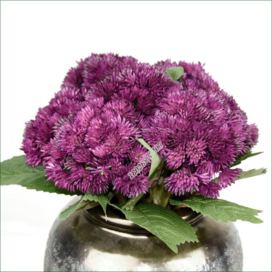 Tree Cat Artificial Flower Feel Aglaia Fruit 38cm Cauliflower Soft Glue Hydrangea Fruit Decoration Fake Succulent Wedding Flower Arrangement and Floriculture