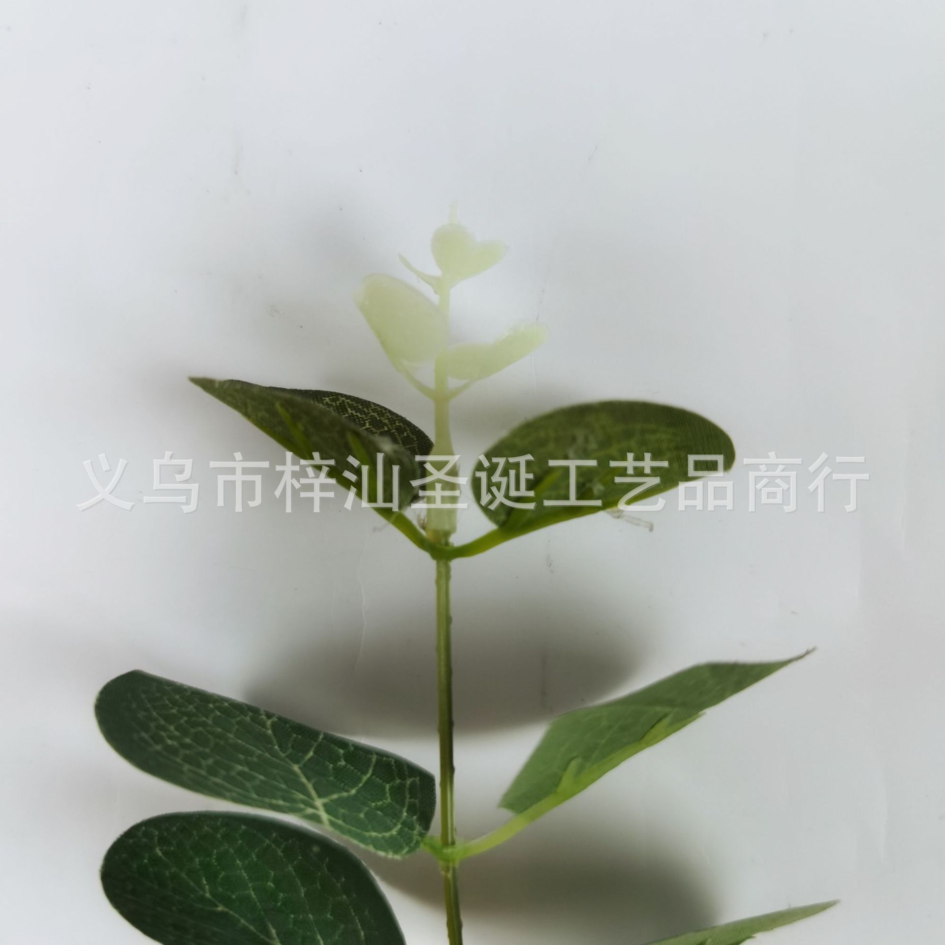 Amazon Artificial Eucalyptus Leaf Wedding Flower Arrangement Single Zamioculcas Leaves Flower Accessories Simulation Eucalyptus Leaf