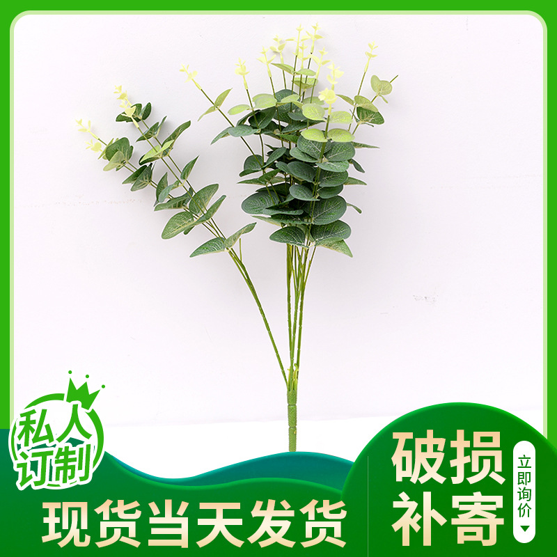 Simulation Zamioculcas Leaves Single Eucalyptus Wedding Flower Arrangement Decoration Plant Wall Decorative Grass Cross-Border Manufacturers Supply