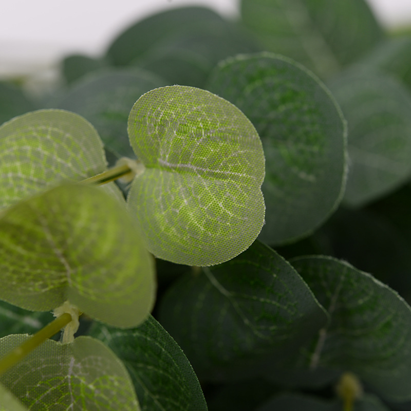 Simulation Zamioculcas Leaves Single Eucalyptus Wedding Flower Arrangement Decoration Plant Wall Decorative Grass Cross-Border Manufacturers Supply