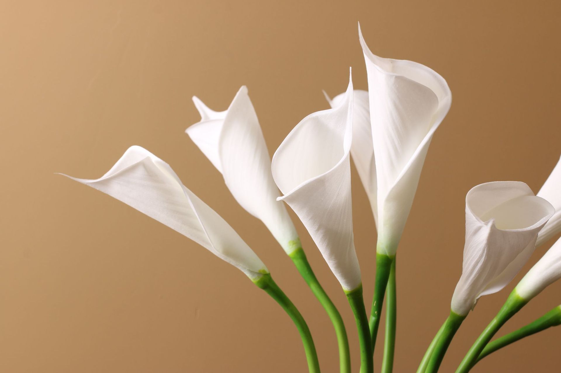 Yibo High-quality Imitation Plant Pu Artificial Flower Sea Taro Common Calla Home Decoration Wedding Flower Direct Photography Wholesale