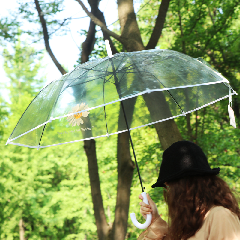 Rst116-cj small chrysanthemum umbrella transparent umbrella, dragon umbrella long handle umbrella web celebrity wholesale