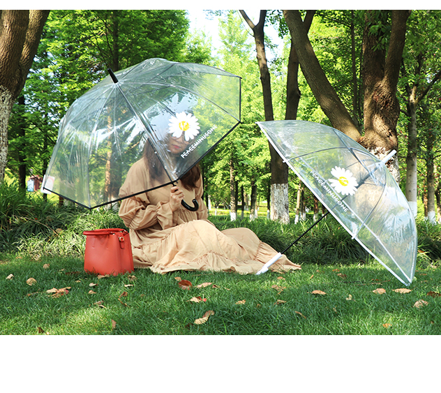 Rst116-cj small chrysanthemum umbrella transparent umbrella, dragon umbrella long handle umbrella web celebrity wholesale Rst116-cj small chrysanthemum umbrella transparent umbrella, dragon umbrella long handle umbrella web celebrity wholesale