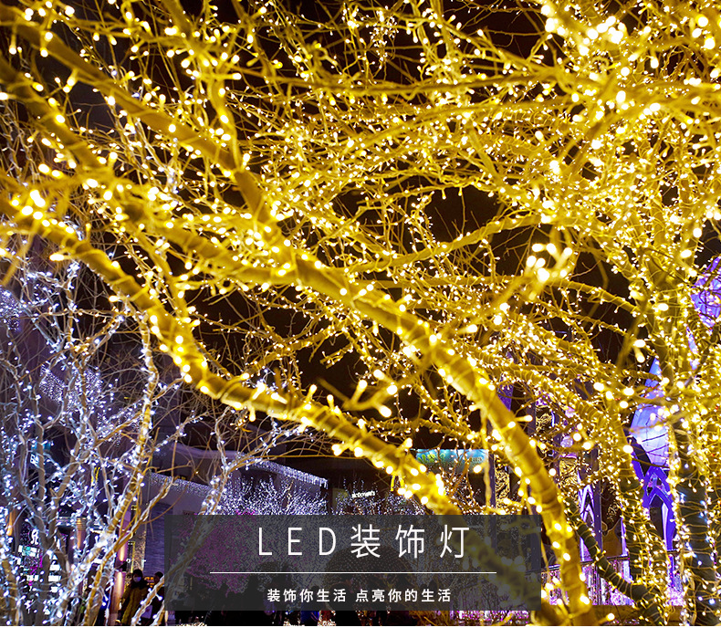 Factory Wholesale LED Lighting Chain Outdoor Starry Lights Christmas Lights Wedding String Holiday Decorative Lights Flashing Light