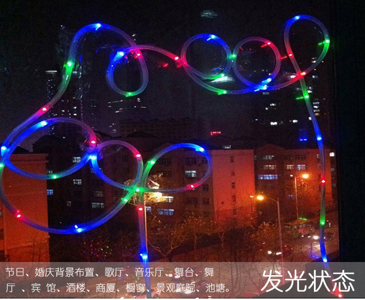 Outdoor Waterproof LED Solar String Lights Battery Garden Lamp Christmas Lights Manufacturer Platinum 9 Silicone Tube Light String