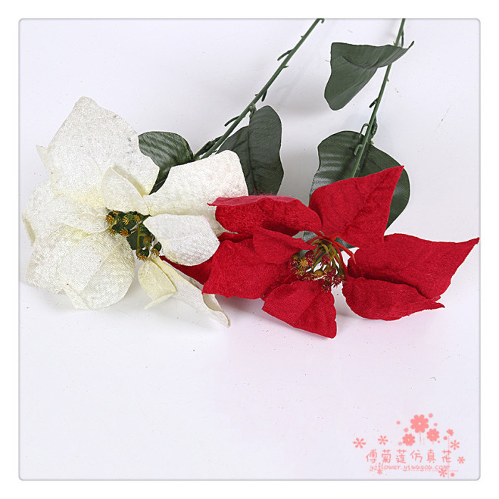 The Christmas flower single Christmas Poinsettia flower bouquet decoration activities The Christmas flower single Christmas Poinsettia flower bouquet decoration activities