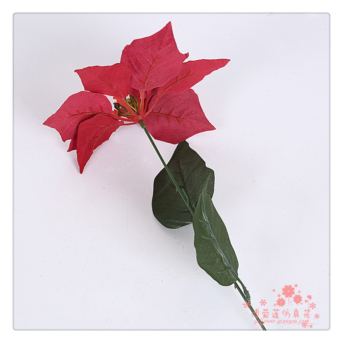 The Christmas flower single Christmas Poinsettia flower bouquet decoration activities The Christmas flower single Christmas Poinsettia flower bouquet decoration activities