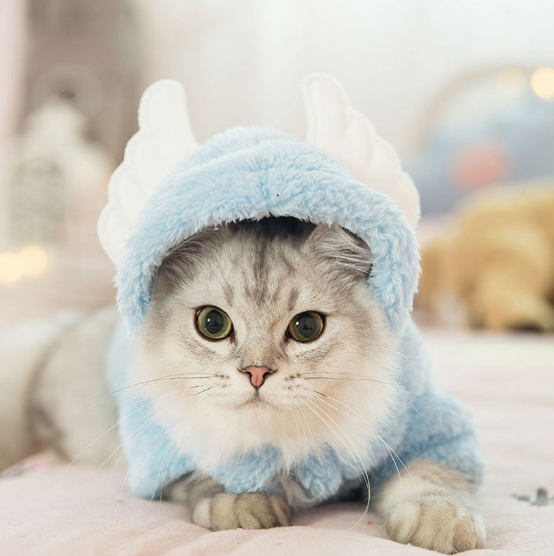Clothes Kitten Cute Funny Pet Suit British Shorthair Little Cat Fall and Winter Clothes Halloween Decoration Supplies