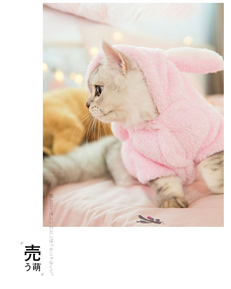 Clothes Kitten Cute Funny Pet Suit British Shorthair Little Cat Fall and Winter Clothes Halloween Decoration Supplies Clothes Kitten Cute Funny Pet Suit British Shorthair Little Cat Fall and Winter Clothes Halloween Decoration Supplies