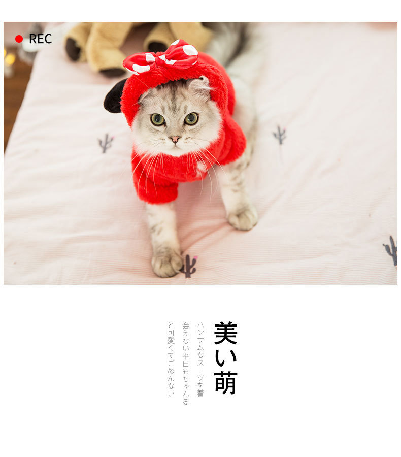 Clothes Kitten Cute Funny Pet Suit British Shorthair Little Cat Fall and Winter Clothes Halloween Decoration Supplies Clothes Kitten Cute Funny Pet Suit British Shorthair Little Cat Fall and Winter Clothes Halloween Decoration Supplies