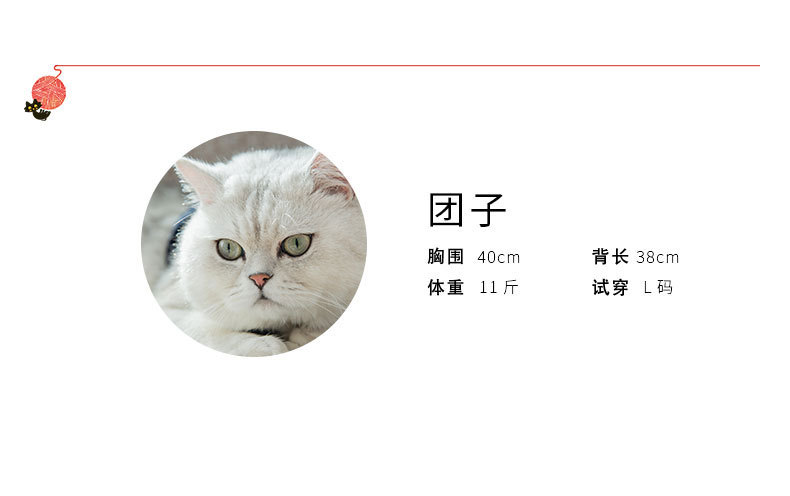 Clothes Kitten Cute Funny Pet Suit British Shorthair Little Cat Fall and Winter Clothes Halloween Decoration Supplies Clothes Kitten Cute Funny Pet Suit British Shorthair Little Cat Fall and Winter Clothes Halloween Decoration Supplies