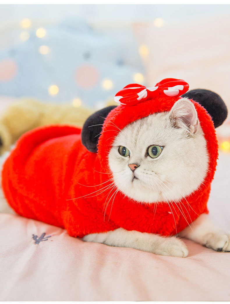 Clothes Kitten Cute Funny Pet Suit British Shorthair Little Cat Fall and Winter Clothes Halloween Decoration Supplies Clothes Kitten Cute Funny Pet Suit British Shorthair Little Cat Fall and Winter Clothes Halloween Decoration Supplies