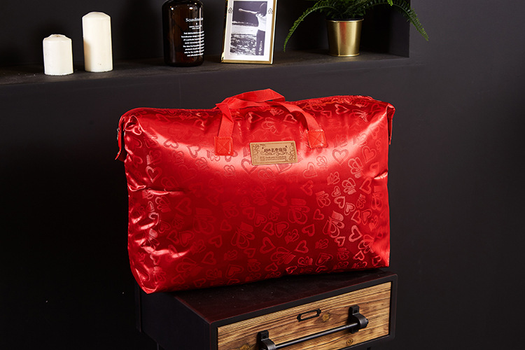 Factory Direct Sales Hot Sale Cotton down Quilt Spring and Autumn Winter Duvet Warm Thickened Duvet Insert Gift Goose down Quilt One Piece Dropshipping Factory Direct Sales Hot Sale Cotton down Quilt Spring and Autumn Winter Duvet Warm Thickened Duvet Insert Gift Goose down Quilt One Piece Dropshipping