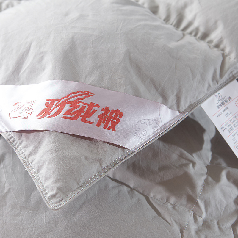 Factory Direct Sales Hot Sale Cotton down Quilt Spring and Autumn Winter Duvet Warm Thickened Duvet Insert Gift Goose down Quilt One Piece Dropshipping Factory Direct Sales Hot Sale Cotton down Quilt Spring and Autumn Winter Duvet Warm Thickened Duvet Insert Gift Goose down Quilt One Piece Dropshipping