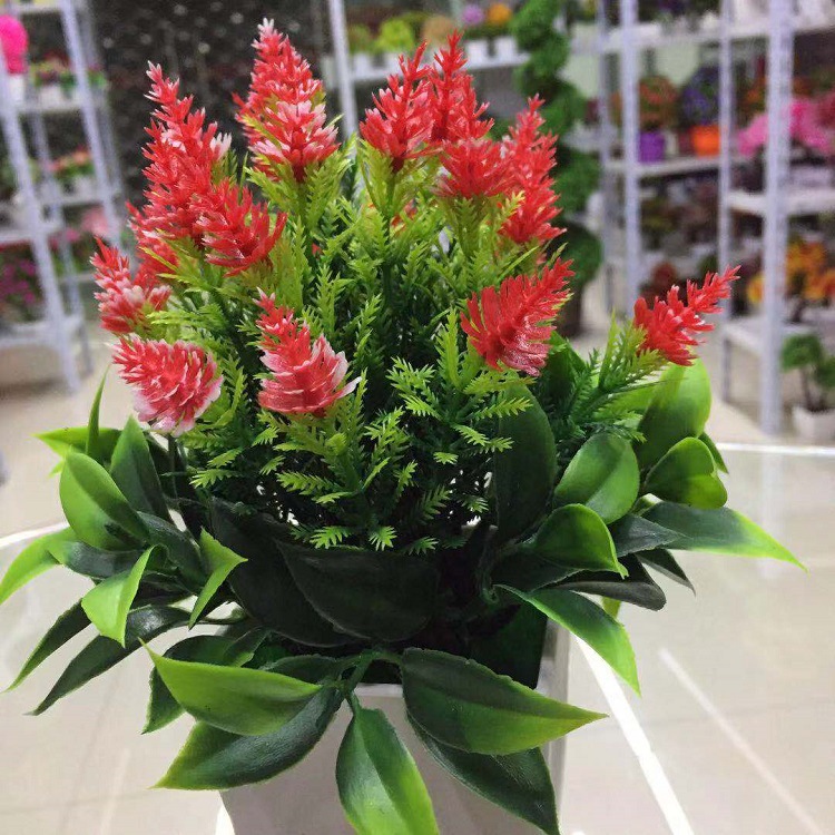 Artificial Plant Artificial Flower Pot Mini Pine Cone Bonsai 9.9 Yuan Store Hot Selling Products Artificial Plant Artificial Flower Pot Mini Pine Cone Bonsai 9.9 Yuan Store Hot Selling Products
