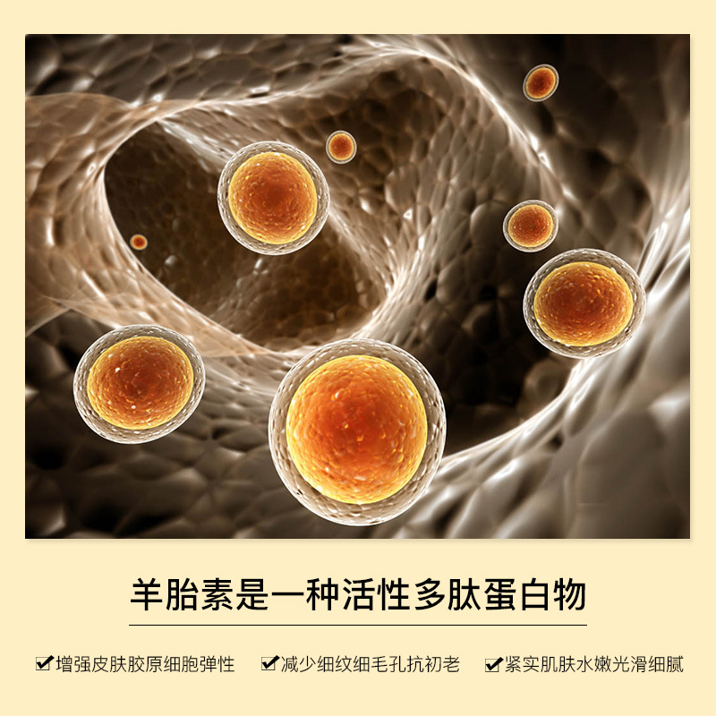 Zhibei Popular Sheep Placenta Firming Anti-Wrinkle Nine-Piece Set Skin Care Cosmetics Hydrating Beauty Salon Facial Kit